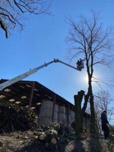 Location de nacelle pour l’élagage et les espaces verts